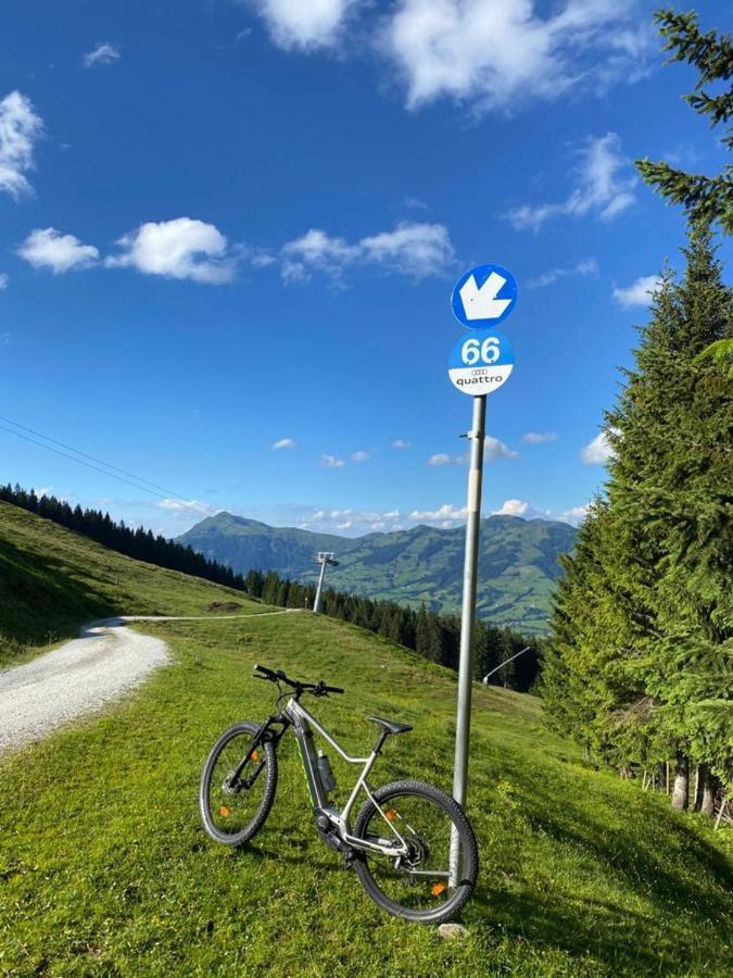 Tirolapart Am Lift - Jochberg Bei Kitzbuhel Apartman Kültér fotó