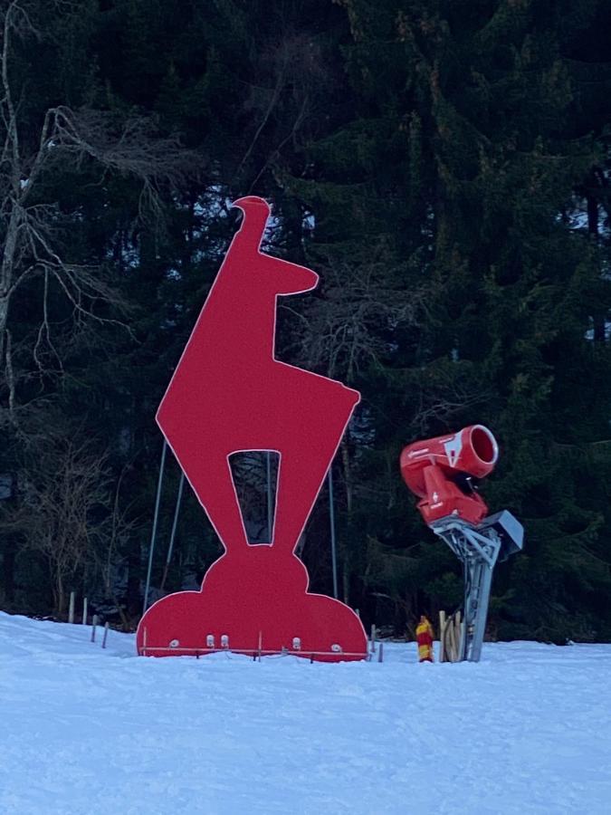 Tirolapart Am Lift - Jochberg Bei Kitzbuhel Apartman Kültér fotó